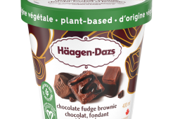 HAAGEN DAZS plant-based chocolate fudge brownies tub