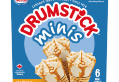 drumstick-minis-van-car-new